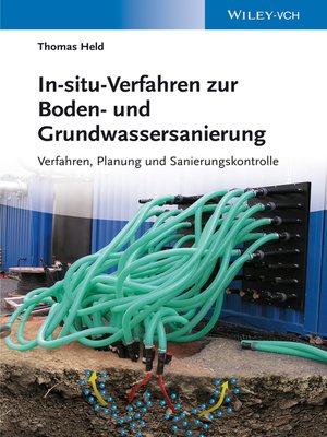 cover image of In-situ-Verfahren zur Boden- und Grundwassersanierung